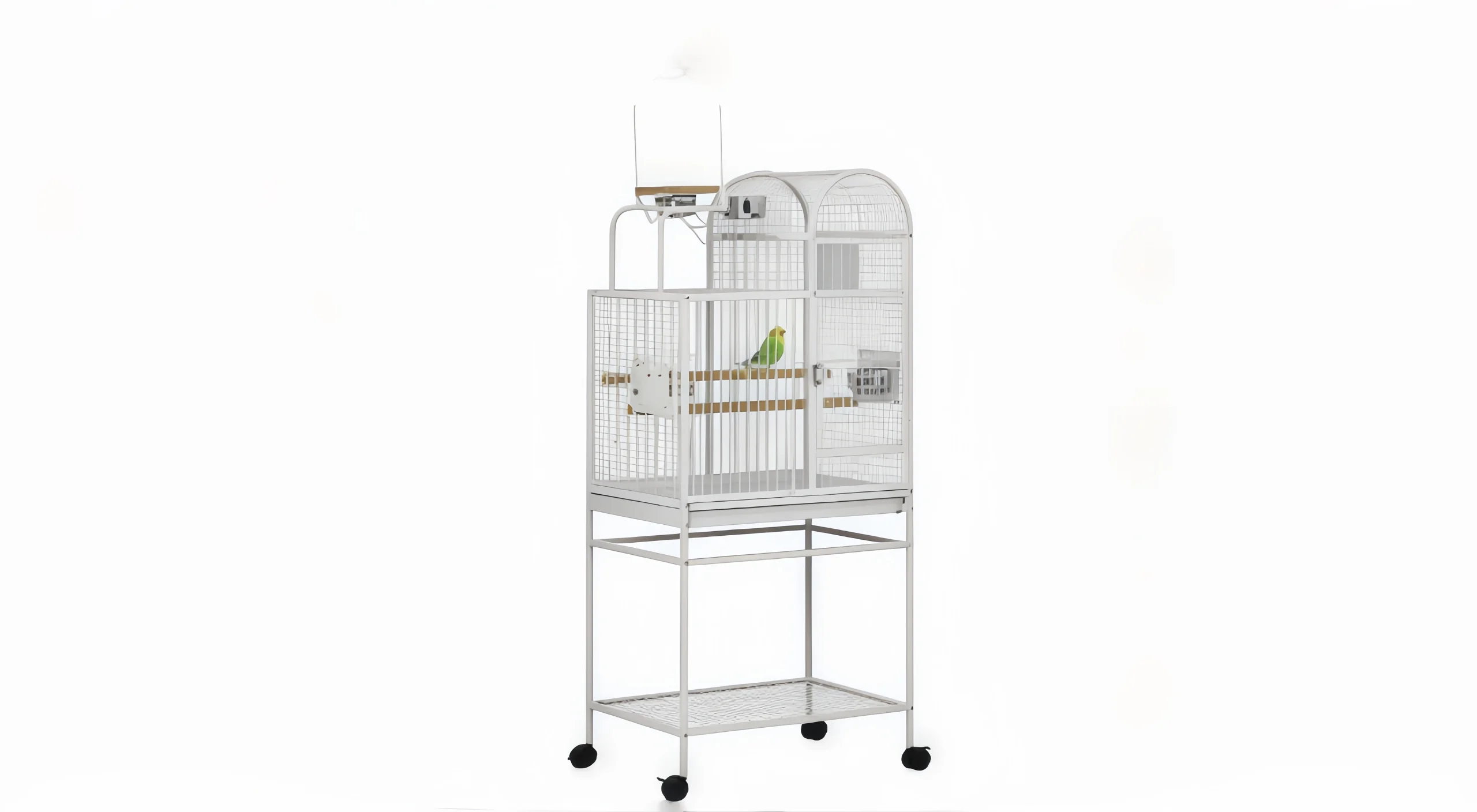 Stainless bird cage with a green parakeet perched on a wooden perch
