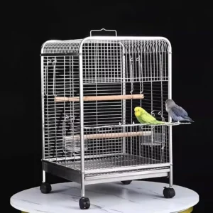 Stainless bird cage with two colorful birds perched on wooden perches