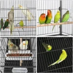 Colorful birds perched inside a spacious stainless bird cage with multiple levels.
