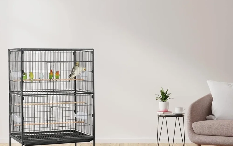 spacious-stainlessbirdcage-for-flight-freedom